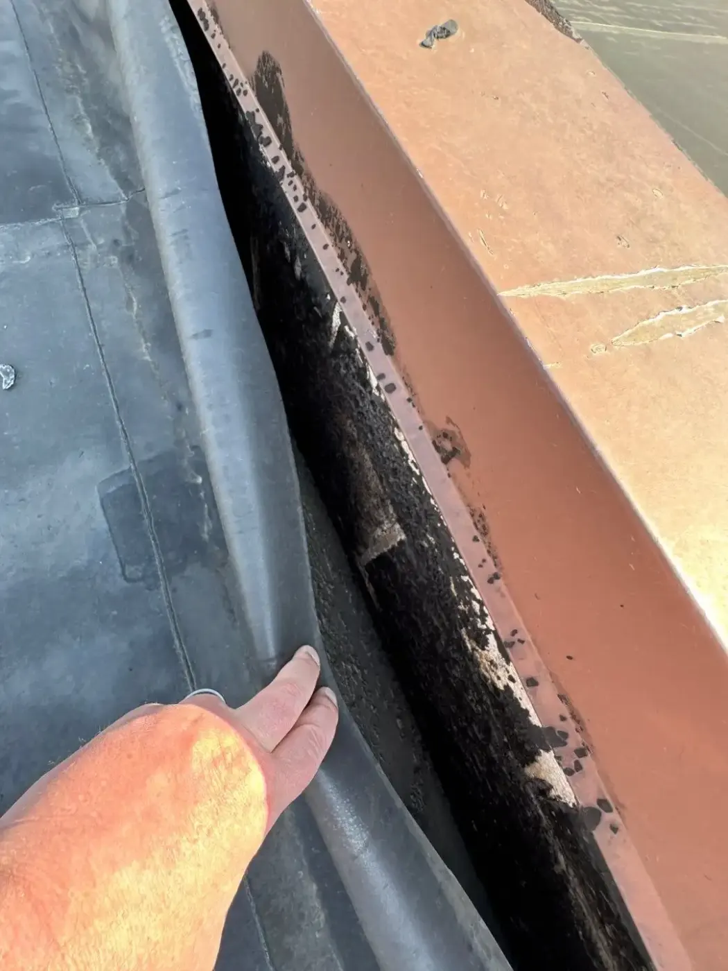 Tarping and dry-in on a AmeriPlex Whitestown commercial roof